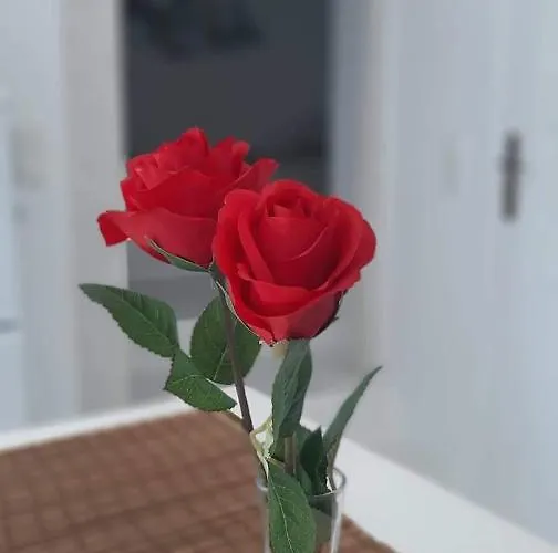 Lejlighed Baros View *